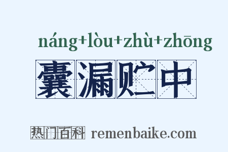 囊漏贮中是什么意思的图片